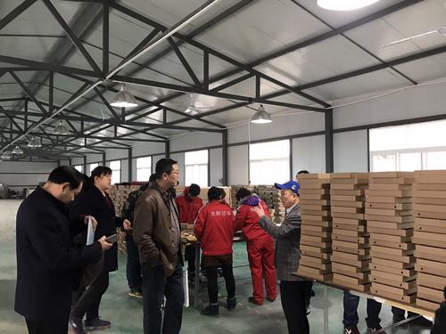 西安市残疾人职业技能培训工作会召开