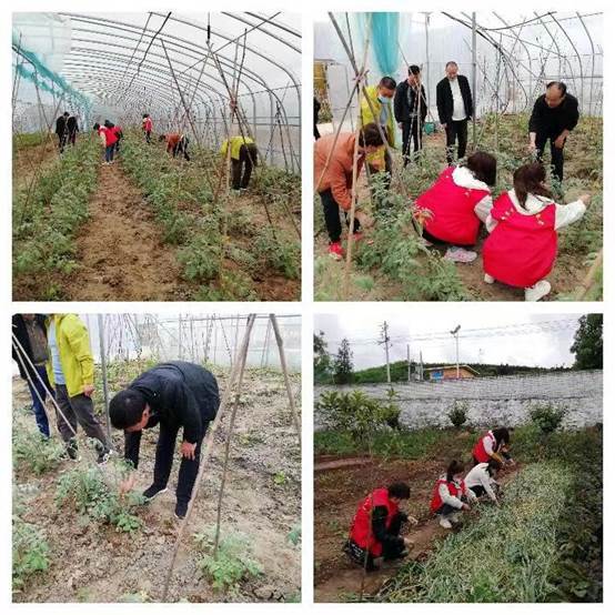 : 微信图片_202205161007062