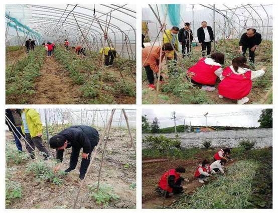 : 微信图片_202205171509297